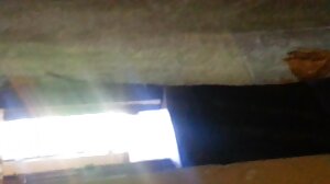 නීනා නිවන්